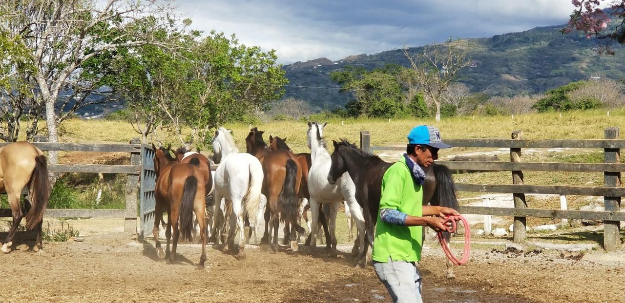 Hotel Hacienda El Rodeo Vueltas Екстериор снимка